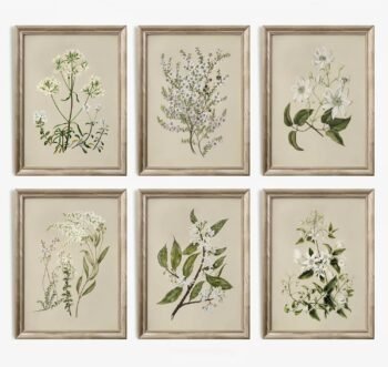 Vintage Botanical Wall Art Set of 6 Neutral Floral Canvas Wall Decor Wildflower Wall Art Watercolor Flower Prints Botanical Poster Minimalist Plant Pictures for Bedroom Living Room 8x10 Inch Unframed