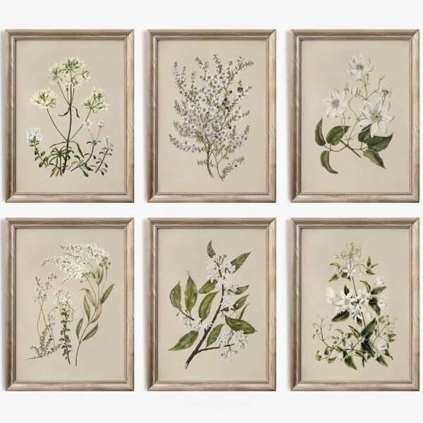 Vintage Botanical Wall Art Set of 6 Neutral Floral Canvas Wall Decor Wildflower Wall Art Watercolor Flower Prints Botanical Poster Minimalist Plant Pictures for Bedroom Living Room 8x10 Inch Unframed